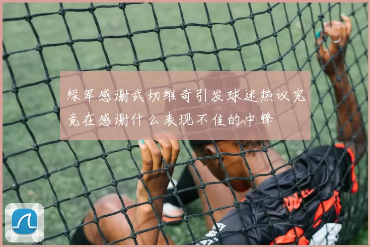 绿军感谢武切维奇引发球迷热议究竟在感谢什么表现不佳的中锋