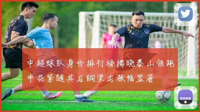 中超球队身价排行榜揭晓泰山领跑申花紧随其后铜梁龙涨幅显著